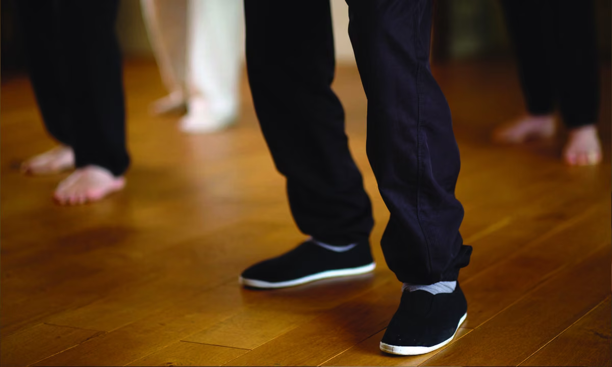 tai chi enracinement